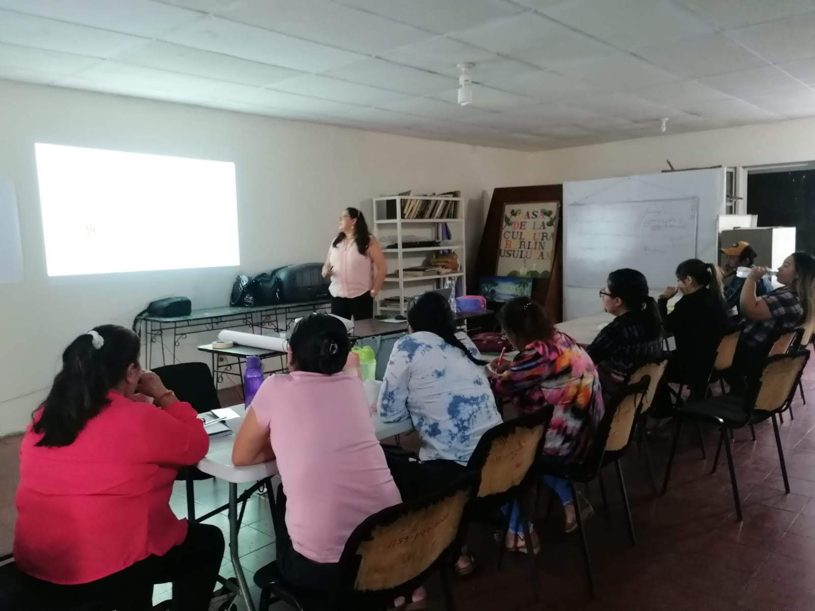 Taller sobre Roles intersectoriales para la incidencia 